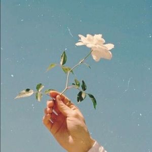 Meet your Posher, Arieana